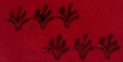 Picture 45