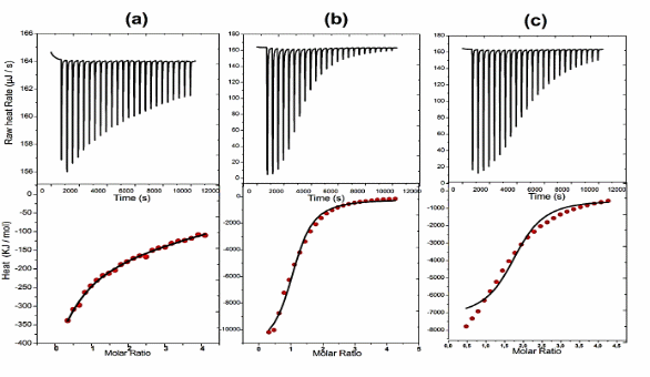 Espace réservé du contenu 3